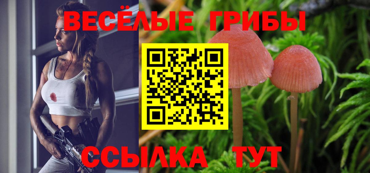 Псилоцибиновые грибы GOLDEN TEACHER  купить закладку  Дедовск  Вход с VPN  Галлюциногенные грибы прущие грибы 