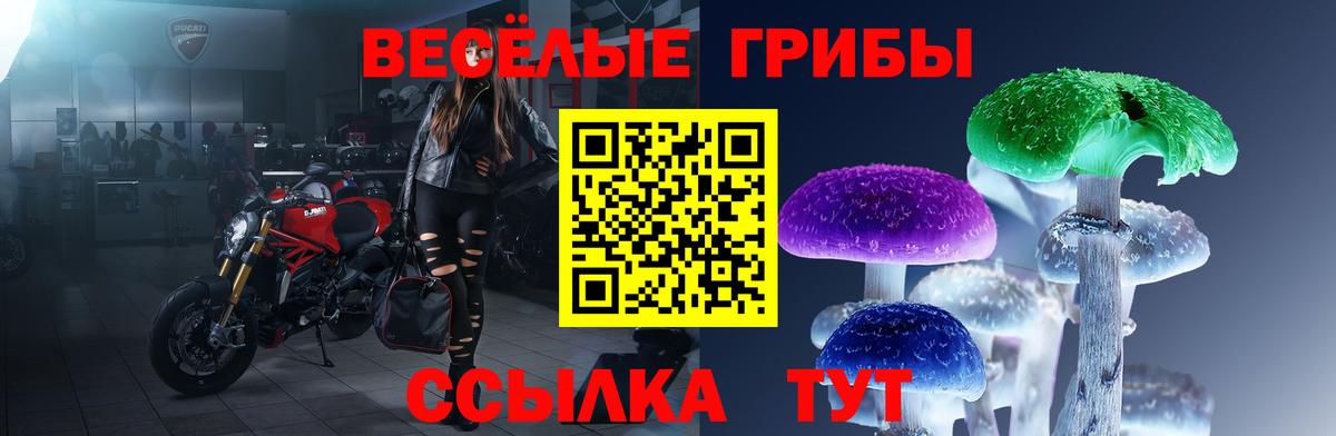 Псилоцибиновые грибы Cubensis Дедовск